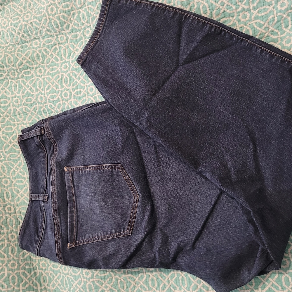 Torrid Jegging size 26T
